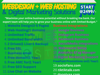 Online Business Setup with Live website, Hosting & Free Digital Marketing Setup package @2499