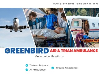 trusted-greenbird-air-and-train-ambulance-services-in-vadodara-are-affordable-and-reliable