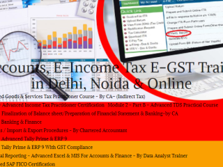 e-accounting-course-in-delhi-sla-learn-direct-tax-code-2025-110069