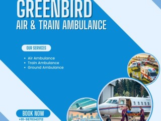 get-an-expert-medical-team-with-greenbird-air-and-train-ambulance-service-in-vadodara