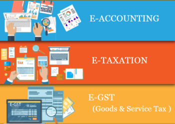 e-accounting-course-in-delhi-learn-direct-tax-code-2025-110069-sap-fico-course-in-noida-bat-course-by-sla-accounting-institute-big-0