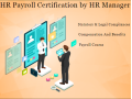 100-placement-in-hr-course-in-delhi-110085-with-free-sap-hcm-hr-certification-by-sla-consultants-institute-in-delhi-ncr-hr-analyst-certification-small-0