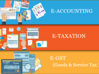 accounting-course-in-delhi-110007-new-year-offer-2025-by-sla-consultants-india-100-job-guarantee