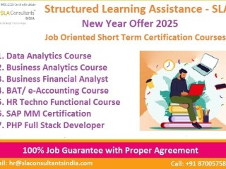 master-in-business-analyst-course-in-delhi-110042-new-year-offer-2025-free-tableau-and-data-science-course