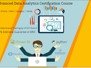 top-data-analyst-course-in-delhi-110010-best-online-live-data-analyst-training-in-bangalore-by-iit-faculty-100-job-in-mnc