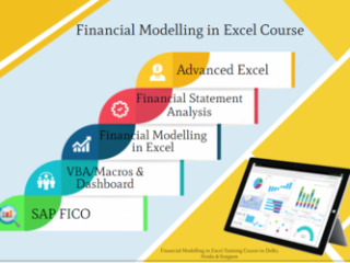 financial-modeling-course-in-delhi-110010-best-online-live-financial-analyst-training-in-bangalore-by-iit-faculty-100-job-in-mnc