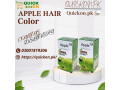 apple-hair-color-price-in-pakistan-small-0